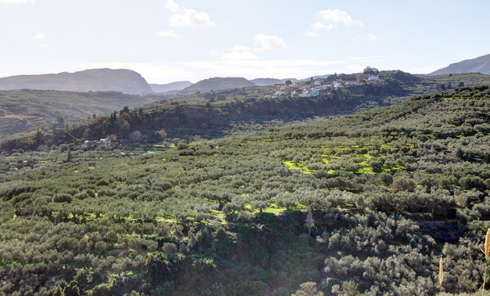 SEA VIEWS & AN ORIGINALLY TRADITIONAL SETTLEMENT