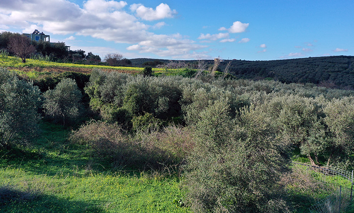 CLASSIC LAYOUT & NORTH-FACING SEA VIEWS