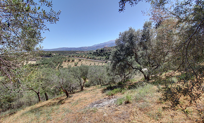 VILLA WITH POTENTIAL IN PRIME LOCATION