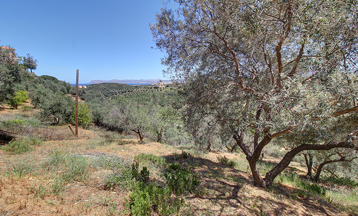 VILLA WITH POTENTIAL IN PRIME LOCATION