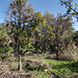 PHS0228 - image 40 PHS0228 - image 40