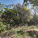 PHS0228 - image 41 PHS0228 - image 41