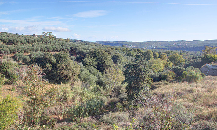 SPACIOUS HOUSE WEST OF CHANIA