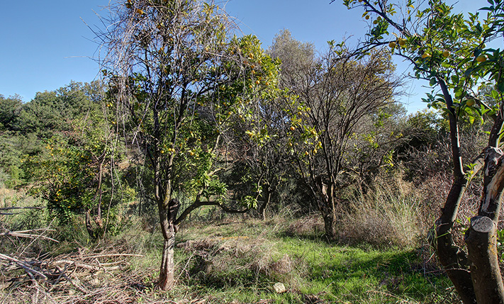 SPACIOUS HOUSE WEST OF CHANIA