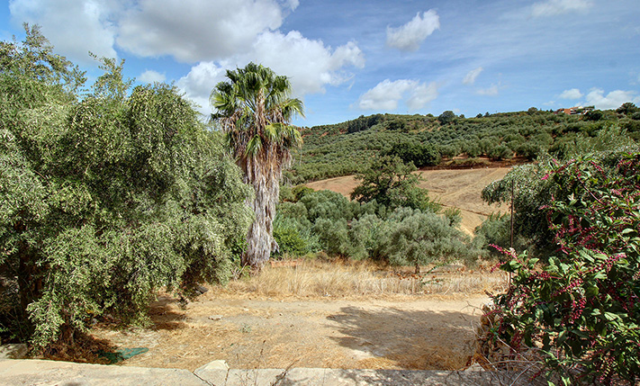 BEAUTIFUL HOUSE WITH BRIGHT ROOMS