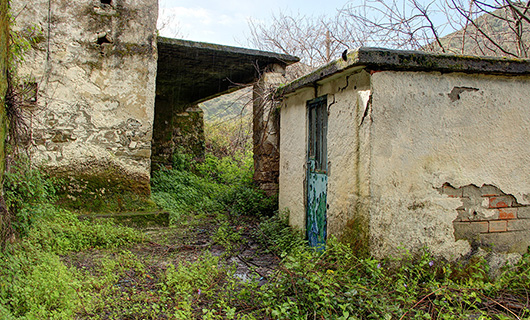 OLD STONE HOUSE WITH AN AGED OLIVE GROVE