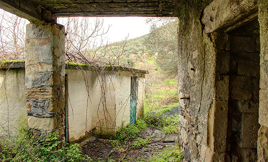 OLD STONE HOUSE WITH AN AGED OLIVE GROVE