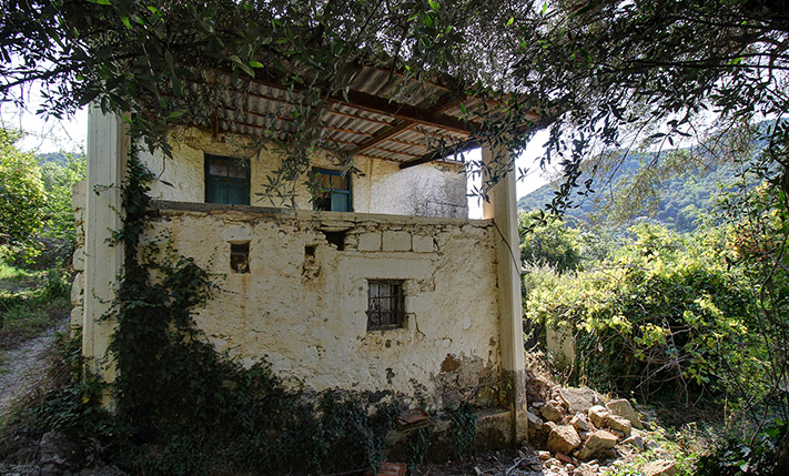 OLD STONE HOUSE WITH AN AGED OLIVE GROVE