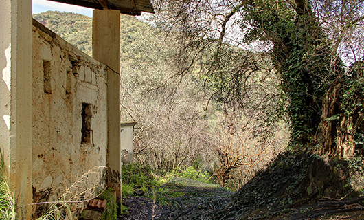 OLD STONE HOUSE WITH AN AGED OLIVE GROVE
