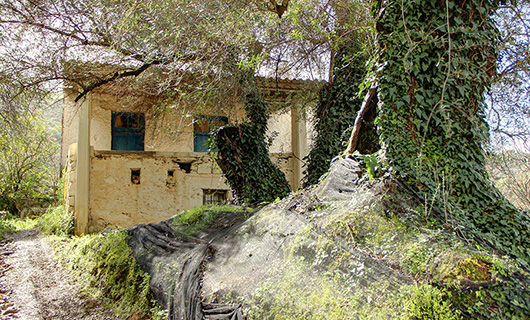 OLD STONE HOUSE WITH AN AGED OLIVE GROVE