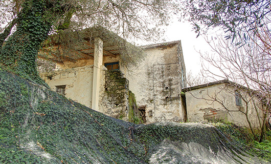 OLD STONE HOUSE WITH AN AGED OLIVE GROVE