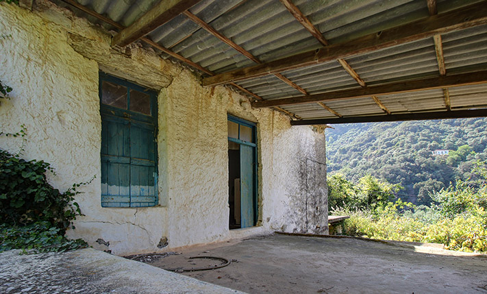 OLD STONE HOUSE WITH AN AGED OLIVE GROVE