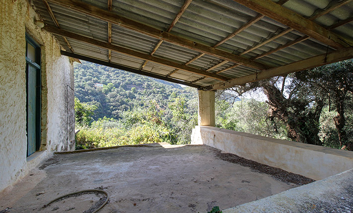 OLD STONE HOUSE WITH AN AGED OLIVE GROVE