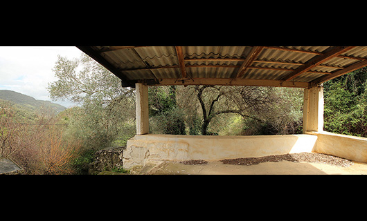 OLD STONE HOUSE WITH AN AGED OLIVE GROVE