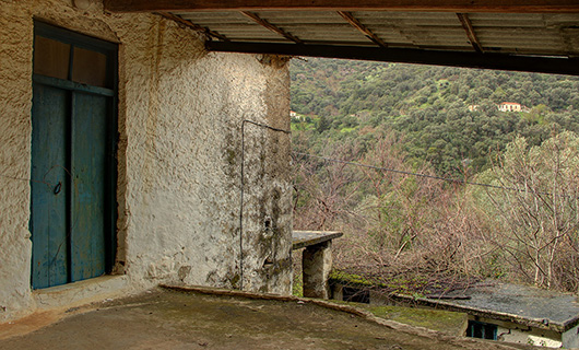 OLD STONE HOUSE WITH AN AGED OLIVE GROVE
