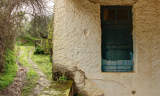 OLD STONE HOUSE WITH AN AGED OLIVE GROVE
