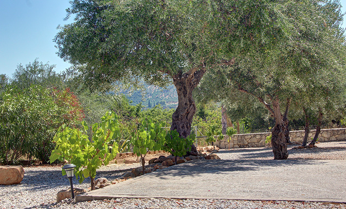 COSY & QUAINT BUNGALOW IN LUSH SURROUNDINGS