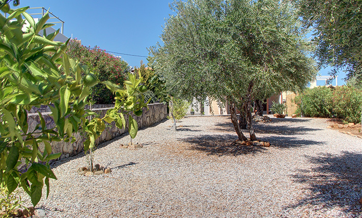 COSY & QUAINT BUNGALOW IN LUSH SURROUNDINGS