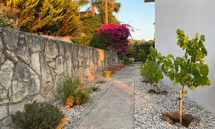 COSY & QUAINT BUNGALOW IN LUSH SURROUNDINGS