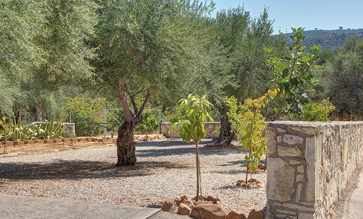 COSY & QUAINT BUNGALOW IN LUSH SURROUNDINGS