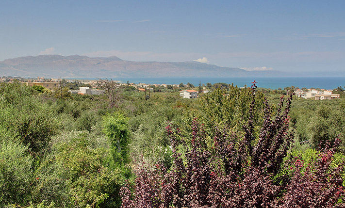 ELEGANT RESIDENCE WITH POOL AND GARDEN