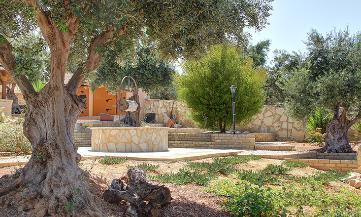 ELEGANT RESIDENCE WITH POOL AND GARDEN