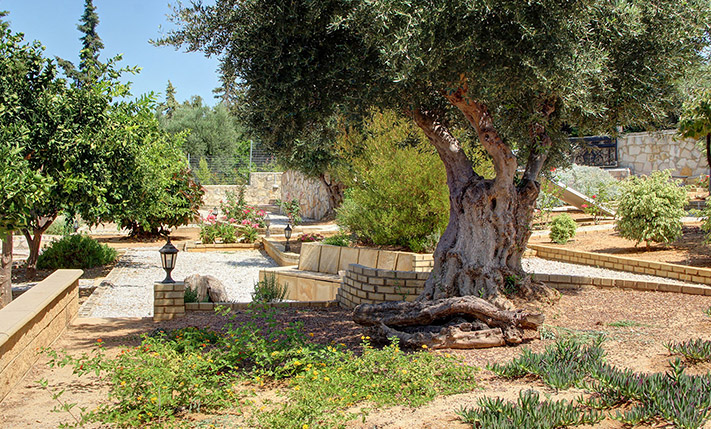 ELEGANT RESIDENCE WITH POOL AND GARDEN