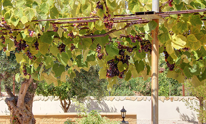 ELEGANT RESIDENCE WITH POOL AND GARDEN