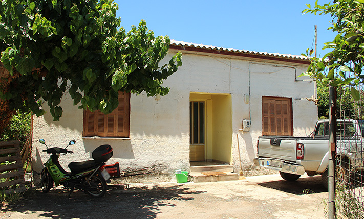 TRADITIONAL HOUSE ON A PLOT WITH ORANGE TREES
