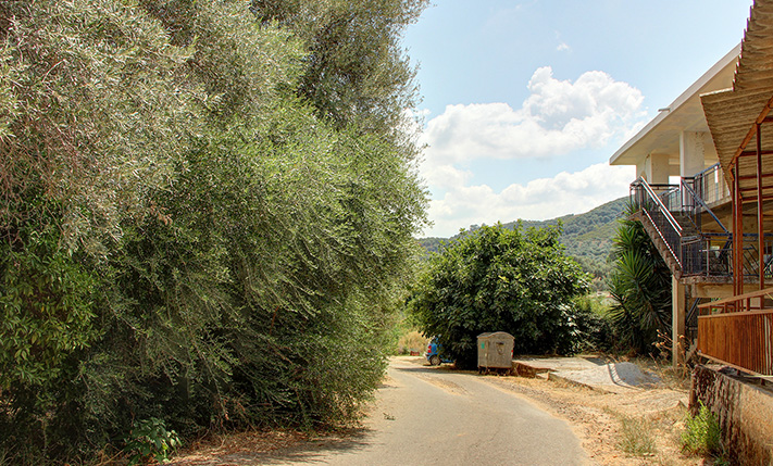 SEMI-CONVERTED HOUSE IN LUSH LOCATION
