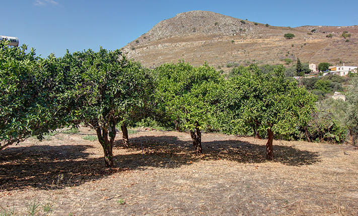 GROUND-LEVEL RESIDENCE WITH A LAWN GARDEN