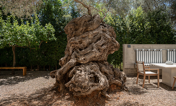 CONTEMPORARY LIVING & AWARD WINNING DESIGN