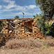 PHS0989 - image 2