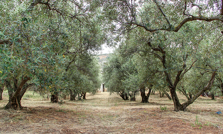 UNFINISHED MULTI-FAMILY BUILDING NEAR THE CITY