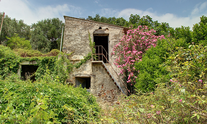 SPACIOUS PLOT OF LAND WITH A STONE BUILDING