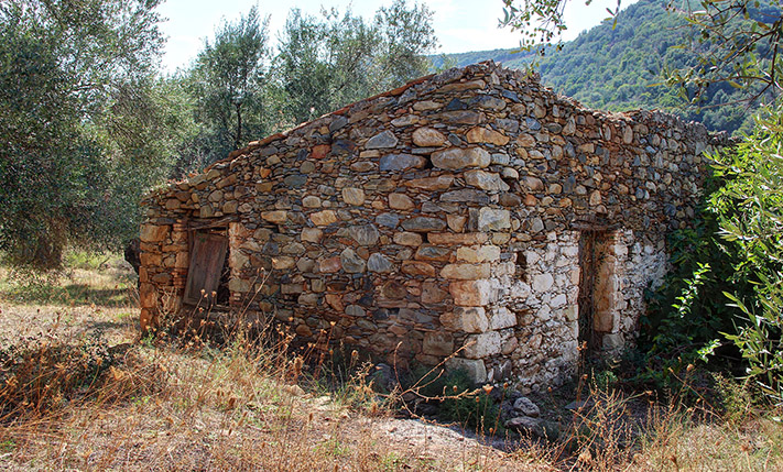 AMONG AGED OLIVE GROVES WITH SPECTACULAR VIEWS