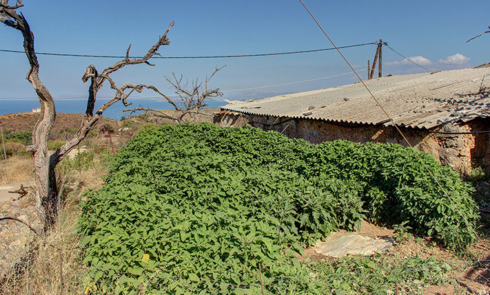 LARGE ARCHES & BEAUTIFUL SEA VIEWS