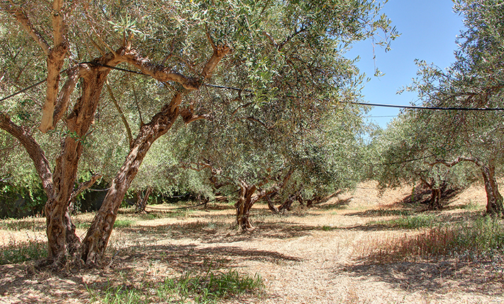 UNFINISHED BUILDING IN WITH LUXURIOUS VIEWS