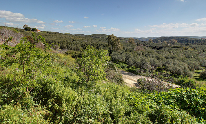 BRIGHT GROUND-LEVEL HOUSE WITH STORAGE & GARDEN