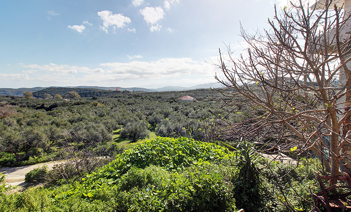 BRIGHT GROUND-LEVEL HOUSE WITH STORAGE & GARDEN