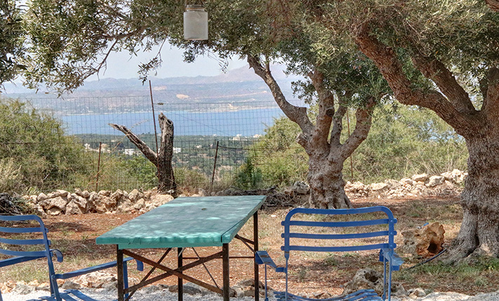 LUXURIOUSLY RENOVATED COMPLEX OF 4 UNITS