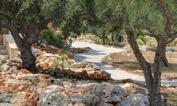 LUXURIOUSLY RENOVATED COMPLEX OF 4 UNITS