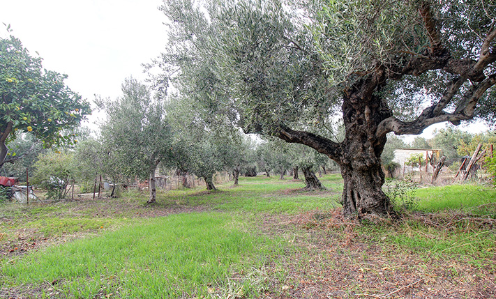 SECURED VIEWS & PLENTY OF BUILDABLE ALLOWANCE