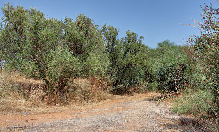 INDUSTRIAL BUILDING ON CHANIA-RETHYTMNON ROAD