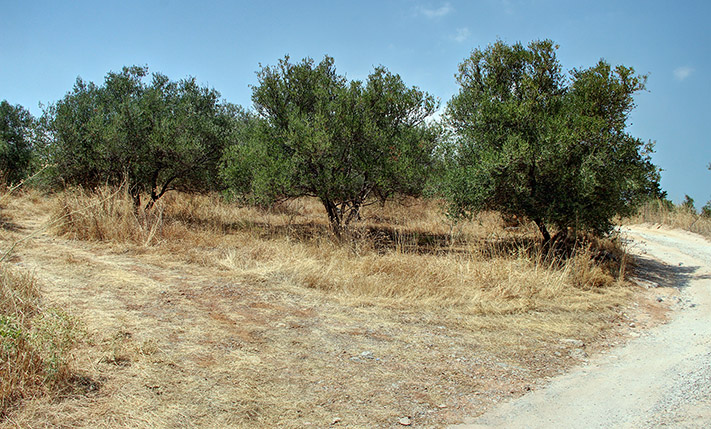 INDUSTRIAL BUILDING ON CHANIA-RETHYTMNON ROAD