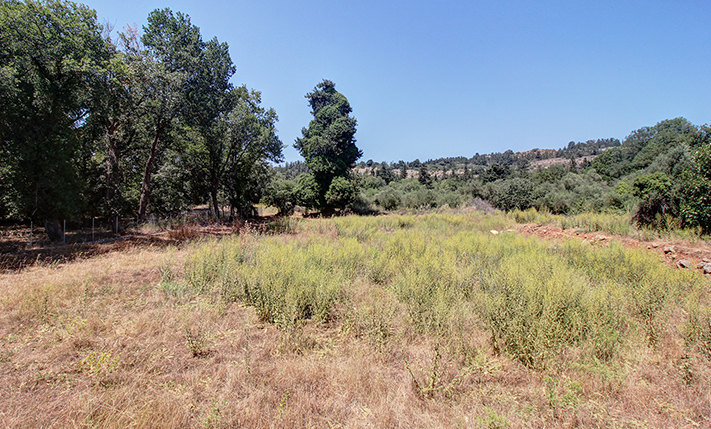 UNFINISHED HOUSE IN THE FOREST