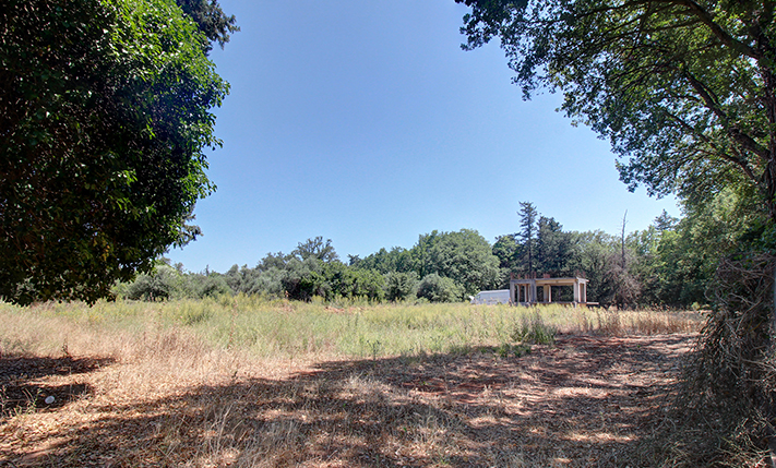 UNFINISHED HOUSE IN THE FOREST