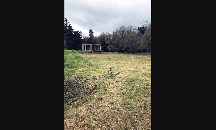 UNFINISHED HOUSE IN THE FOREST