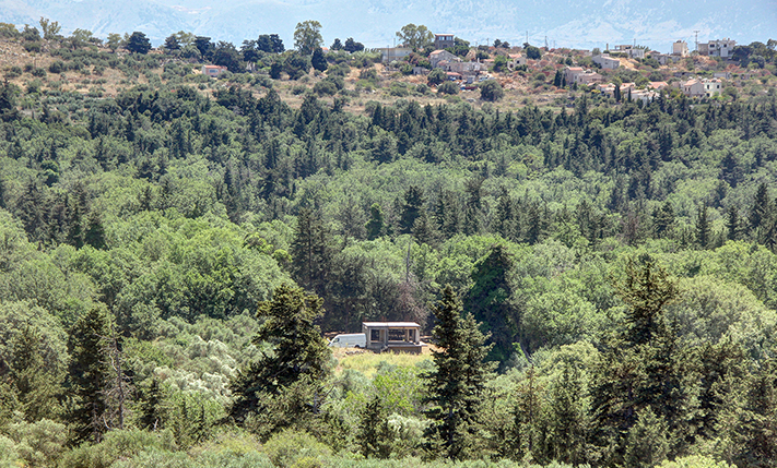 UNFINISHED HOUSE IN THE FOREST