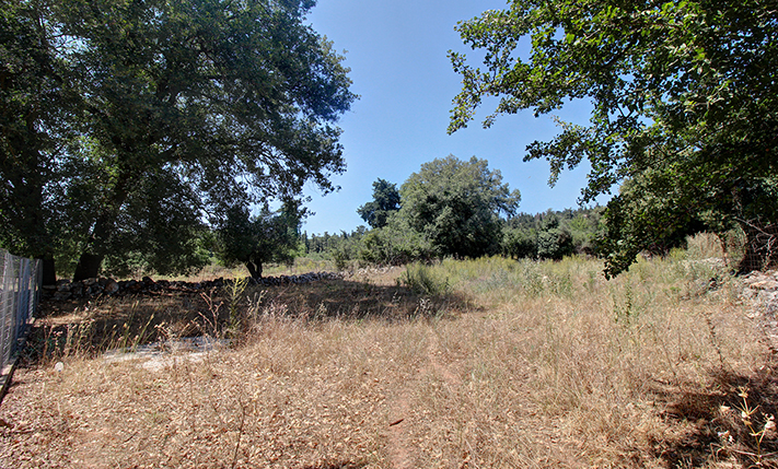 UNFINISHED HOUSE IN THE FOREST